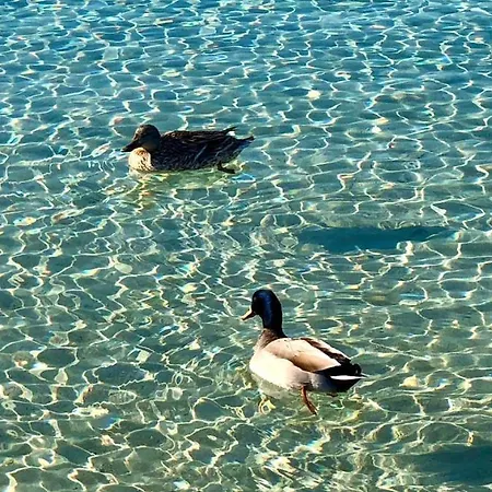 Giorgia - Holiday home Porto Cesareo